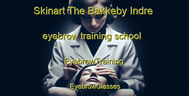 Skinart The Bakkeby Indre eyebrow training school | EyebrowTraining | EyebrowClasses | SkinartTraining-Norway