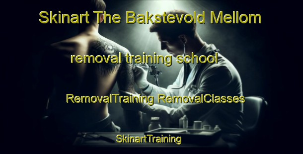 Skinart The Bakstevold Mellom removal training school | #RemovalTraining #RemovalClasses #SkinartTraining-Norway