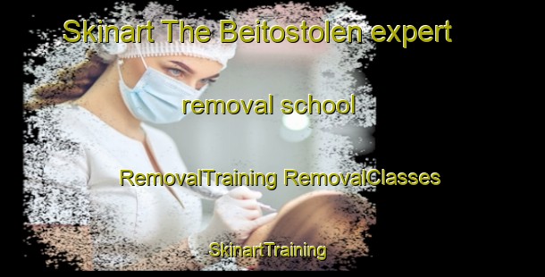 Skinart The Beitostolen expert removal school | #RemovalTraining #RemovalClasses #SkinartTraining-Norway