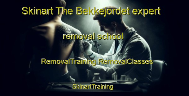 Skinart The Bekkejordet expert removal school | #RemovalTraining #RemovalClasses #SkinartTraining-Norway