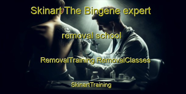 Skinart The Bingene expert removal school | #RemovalTraining #RemovalClasses #SkinartTraining-Norway