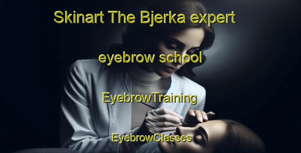Skinart The Bjerka expert eyebrow school | EyebrowTraining | EyebrowClasses | SkinartTraining-Norway