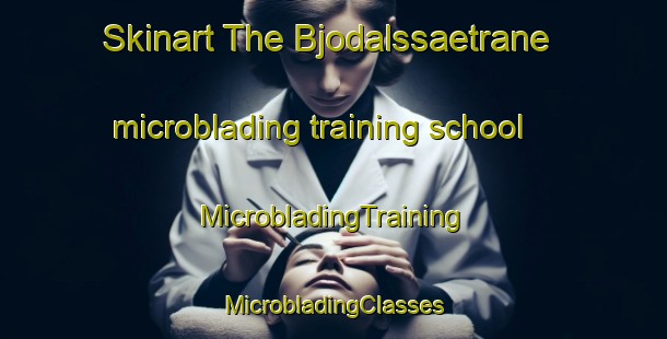 Skinart The Bjodalssaetrane microblading training school | #MicrobladingTraining #MicrobladingClasses #SkinartTraining-Norway