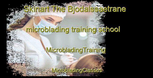 Skinart The Bjodalssaetrane microblading training school | #MicrobladingTraining #MicrobladingClasses #SkinartTraining-Norway