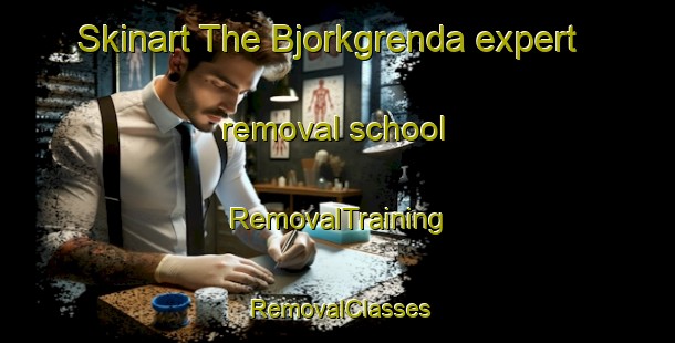 Skinart The Bjorkgrenda expert removal school | RemovalTraining | RemovalClasses | SkinartTraining-Norway