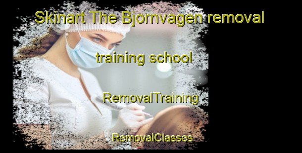 Skinart The Bjornvagen removal training school | RemovalTraining | RemovalClasses | SkinartTraining-Norway