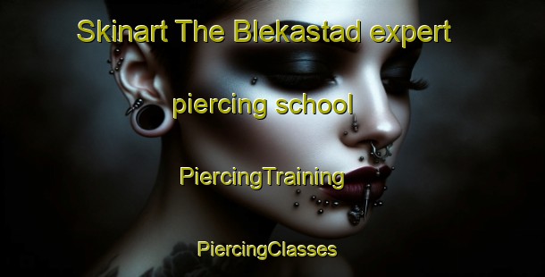Skinart The Blekastad expert piercing school | PiercingTraining | PiercingClasses | SkinartTraining-Norway