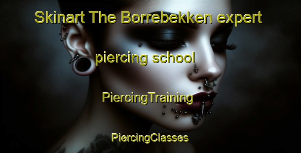 Skinart The Borrebekken expert piercing school | #PiercingTraining #PiercingClasses #SkinartTraining-Norway