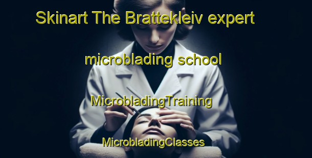 Skinart The Brattekleiv expert microblading school | MicrobladingTraining | MicrobladingClasses | SkinartTraining-Norway