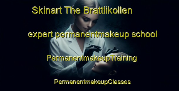 Skinart The Brattlikollen expert permanentmakeup school | PermanentmakeupTraining | PermanentmakeupClasses | SkinartTraining-Norway
