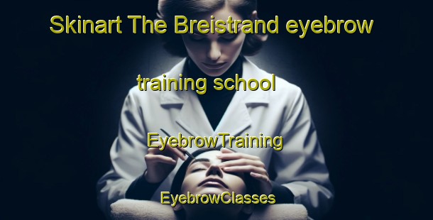 Skinart The Breistrand eyebrow training school | EyebrowTraining | EyebrowClasses | SkinartTraining-Norway