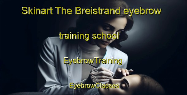 Skinart The Breistrand eyebrow training school | EyebrowTraining | EyebrowClasses | SkinartTraining-Norway