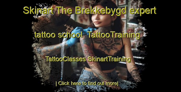 Skinart The Brekkebygd expert tattoo school | #TattooTraining #TattooClasses #SkinartTraining-Norway