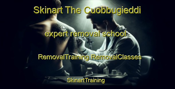 Skinart The Cuobbugieddi expert removal school | #RemovalTraining #RemovalClasses #SkinartTraining-Norway