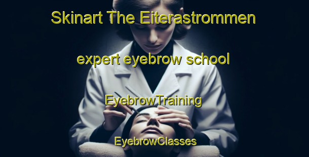 Skinart The Eiterastrommen expert eyebrow school | EyebrowTraining | EyebrowClasses | SkinartTraining-Norway