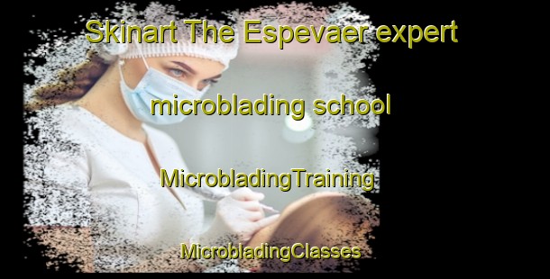 Skinart The Espevaer expert microblading school | MicrobladingTraining | MicrobladingClasses | SkinartTraining-Norway
