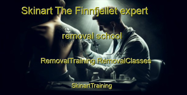 Skinart The Finnfjellet expert removal school | #RemovalTraining #RemovalClasses #SkinartTraining-Norway