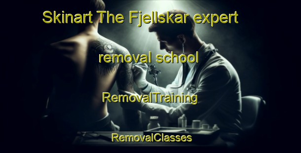 Skinart The Fjellskar expert removal school | RemovalTraining | RemovalClasses | SkinartTraining-Norway