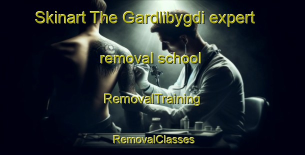 Skinart The Gardlibygdi expert removal school | RemovalTraining | RemovalClasses | SkinartTraining-Norway