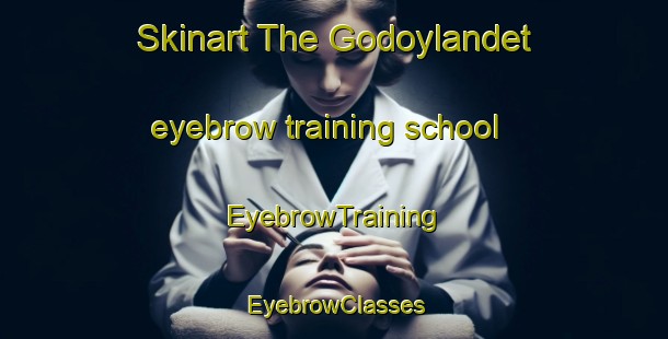Skinart The Godoylandet eyebrow training school | EyebrowTraining | EyebrowClasses | SkinartTraining-Norway