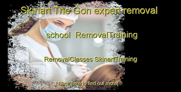 Skinart The Gon expert removal school | #RemovalTraining #RemovalClasses #SkinartTraining-Norway