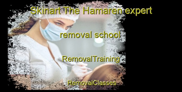 Skinart The Hamaren expert removal school | RemovalTraining | RemovalClasses | SkinartTraining-Norway