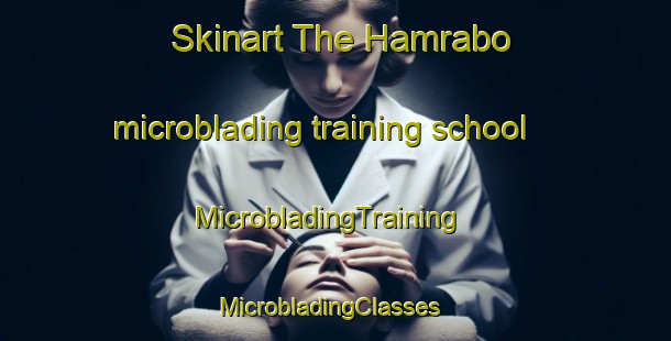 Skinart The Hamrabo microblading training school | MicrobladingTraining | MicrobladingClasses | SkinartTraining-Norway