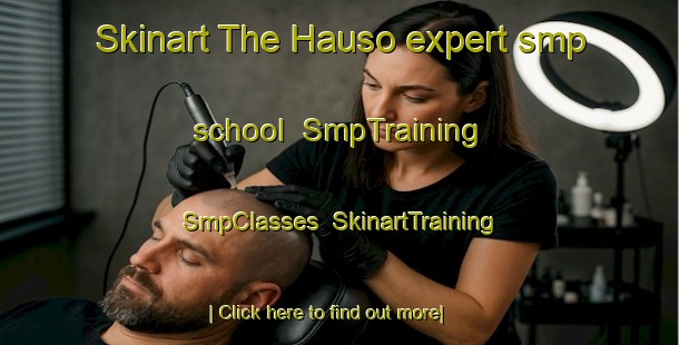 Skinart The Hauso expert smp school | SmpTraining | SmpClasses | SkinartTraining-Norway