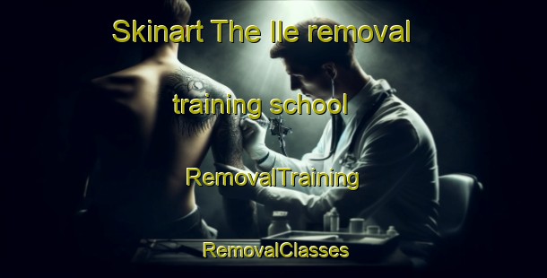 Skinart The Ile removal training school | RemovalTraining | RemovalClasses | SkinartTraining-Norway