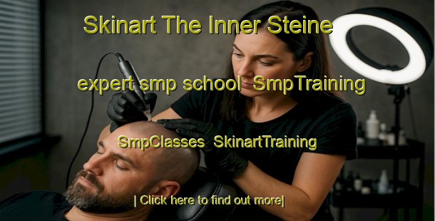 Skinart The Inner Steine expert smp school | SmpTraining | SmpClasses | SkinartTraining-Norway