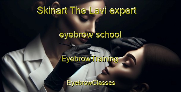 Skinart The Lavi expert eyebrow school | EyebrowTraining | EyebrowClasses | SkinartTraining-Norway