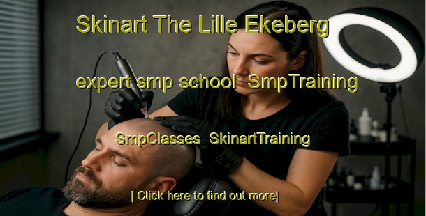 Skinart The Lille Ekeberg expert smp school | SmpTraining | SmpClasses | SkinartTraining-Norway