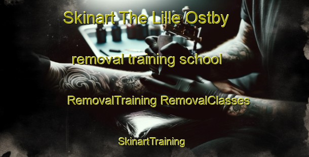 Skinart The Lille Ostby removal training school | #RemovalTraining #RemovalClasses #SkinartTraining-Norway