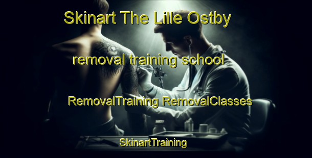 Skinart The Lille Ostby removal training school | #RemovalTraining #RemovalClasses #SkinartTraining-Norway