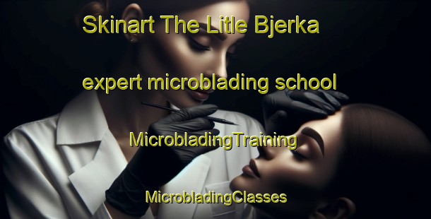 Skinart The Litle Bjerka expert microblading school | #MicrobladingTraining #MicrobladingClasses #SkinartTraining-Norway