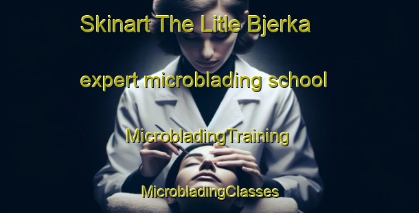 Skinart The Litle Bjerka expert microblading school | #MicrobladingTraining #MicrobladingClasses #SkinartTraining-Norway