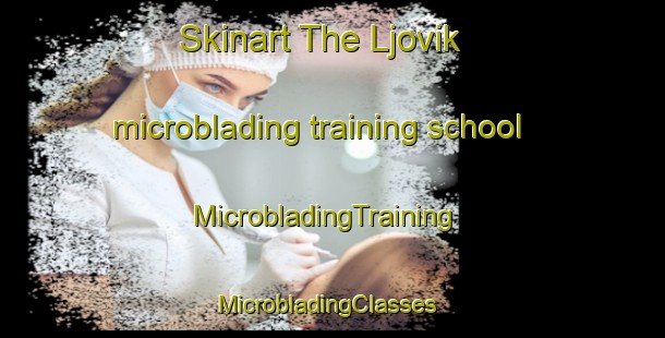 Skinart The Ljovik microblading training school | MicrobladingTraining | MicrobladingClasses | SkinartTraining-Norway