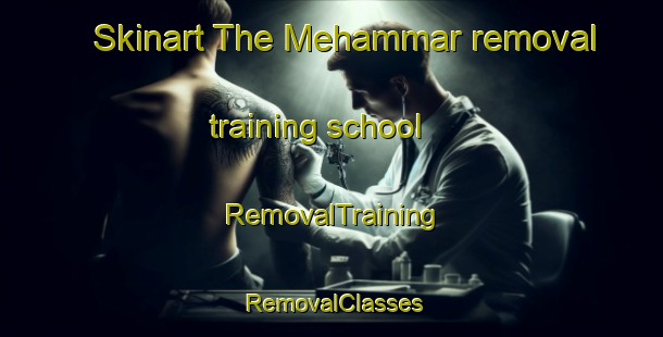 Skinart The Mehammar removal training school | RemovalTraining | RemovalClasses | SkinartTraining-Norway