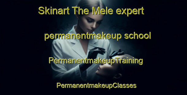 Skinart The Mele expert permanentmakeup school | PermanentmakeupTraining | PermanentmakeupClasses | SkinartTraining-Norway