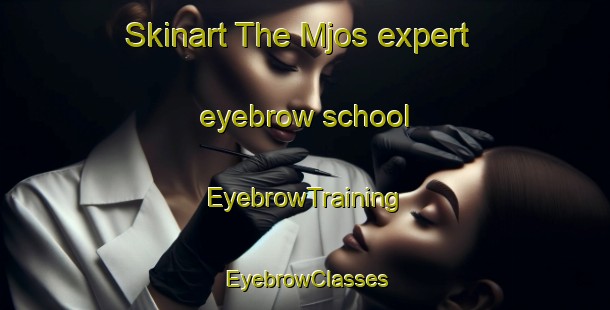 Skinart The Mjos expert eyebrow school | EyebrowTraining | EyebrowClasses | SkinartTraining-Norway