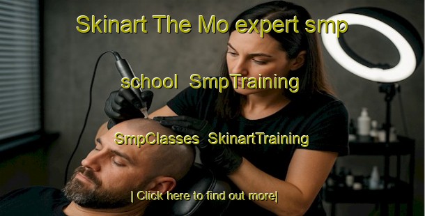 Skinart The Mo expert smp school | SmpTraining | SmpClasses | SkinartTraining-Norway