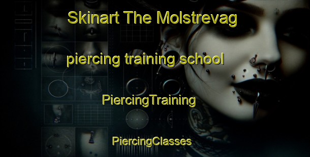 Skinart The Molstrevag piercing training school | PiercingTraining | PiercingClasses | SkinartTraining-Norway