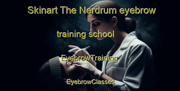 Skinart The Nerdrum eyebrow training school | EyebrowTraining | EyebrowClasses | SkinartTraining-Norway