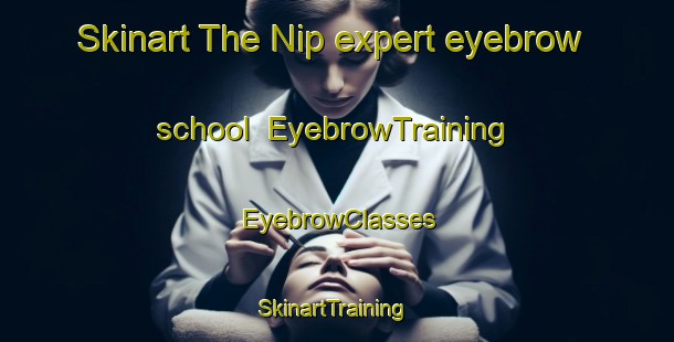 Skinart The Nip expert eyebrow school | EyebrowTraining | EyebrowClasses | SkinartTraining-Norway