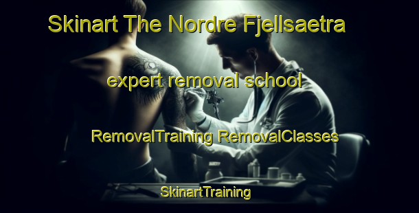 Skinart The Nordre Fjellsaetra expert removal school | #RemovalTraining #RemovalClasses #SkinartTraining-Norway