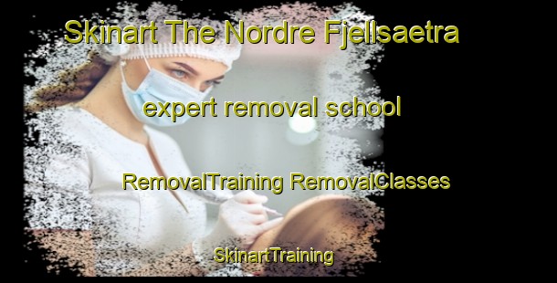 Skinart The Nordre Fjellsaetra expert removal school | #RemovalTraining #RemovalClasses #SkinartTraining-Norway