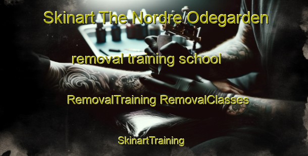 Skinart The Nordre Odegarden removal training school | #RemovalTraining #RemovalClasses #SkinartTraining-Norway