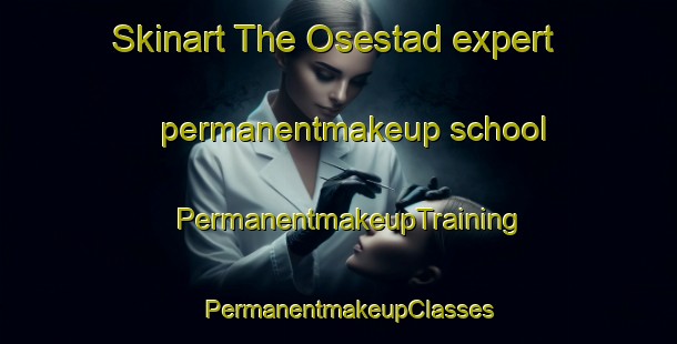 Skinart The Osestad expert permanentmakeup school | PermanentmakeupTraining | PermanentmakeupClasses | SkinartTraining-Norway