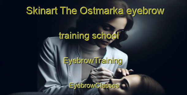 Skinart The Ostmarka eyebrow training school | EyebrowTraining | EyebrowClasses | SkinartTraining-Norway