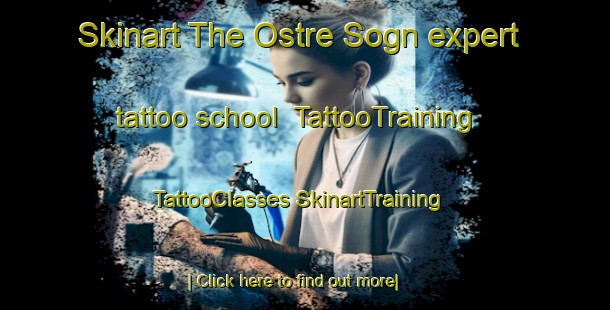 Skinart The Ostre Sogn expert tattoo school | #TattooTraining #TattooClasses #SkinartTraining-Norway